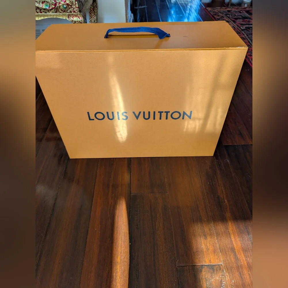 Louis Vuitton authentic louis